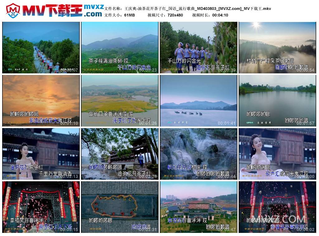 王庆爽-油茶花开茶子红_国语_流行歌曲_MD403803